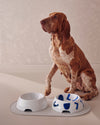 NF15-16 L_02.jpg