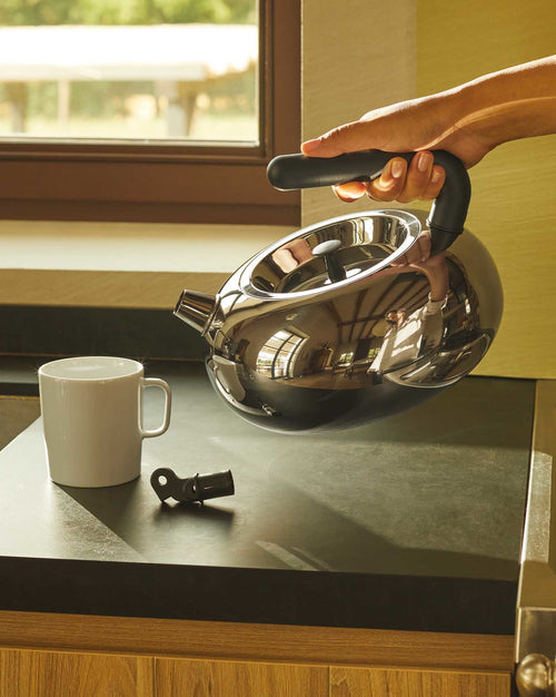 Bulbul Default Title Kettle Alessi 1